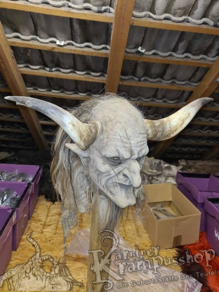 1 Paar Kuhhörner Gross