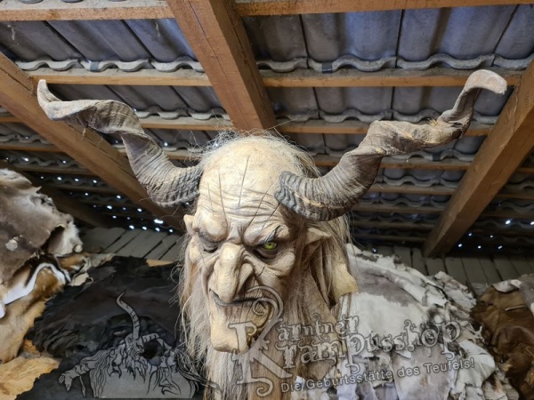 Heimische Widder NATUR Gerade gewachsen