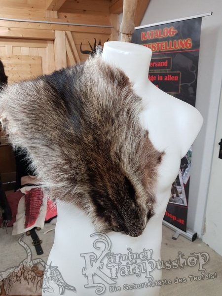 Waschbär Fell Natur