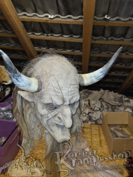 1 Paar Kuhhörner Mittel