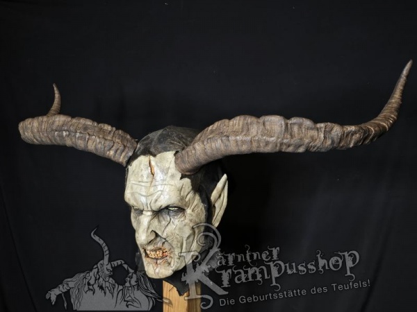 Spanischer Steinbock