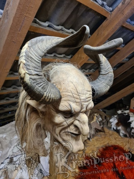 Widder Dunkel bis 60cm