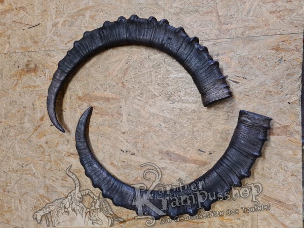 Sibirischer Steinbock Model Bismark