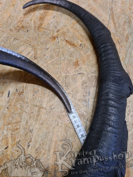 Türkischer Steinbock Bezoar Model AKI