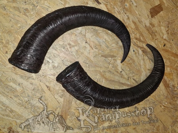 Afrikanischer Mähnenspringer Aoudad