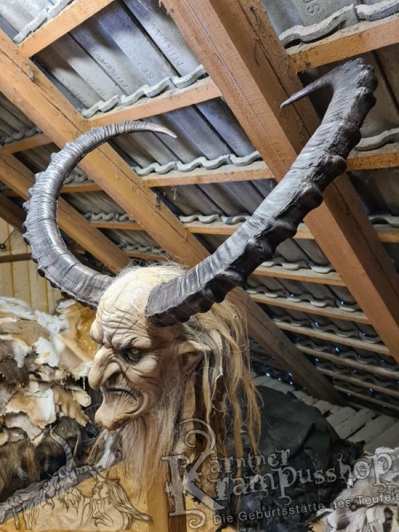 Sibirischer Steinbock Model Bismark