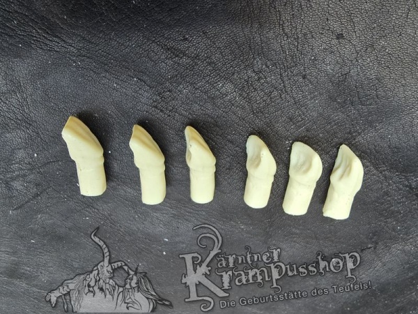 Stiftzähne Einzeln Schneidezahn Gross