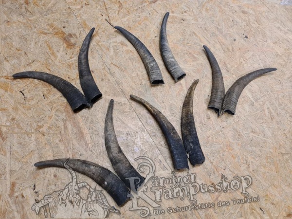 1 Paar Gaißhörner bis 35cm