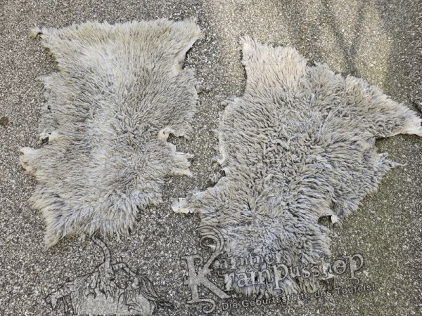 Schaffelle Kurzhaar Weiss Abgeschwärzt (Grau)