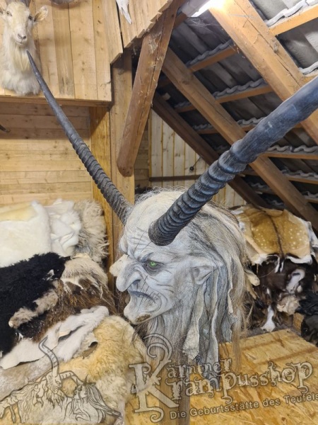 Orixantilope Paarweise