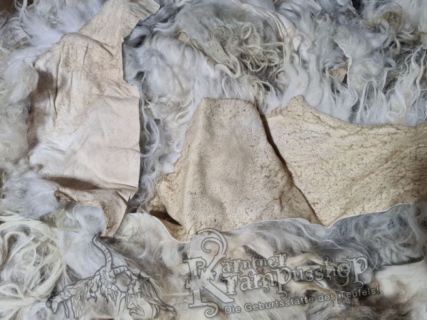 Weisse Fell Reste Islandschaf Langhaar