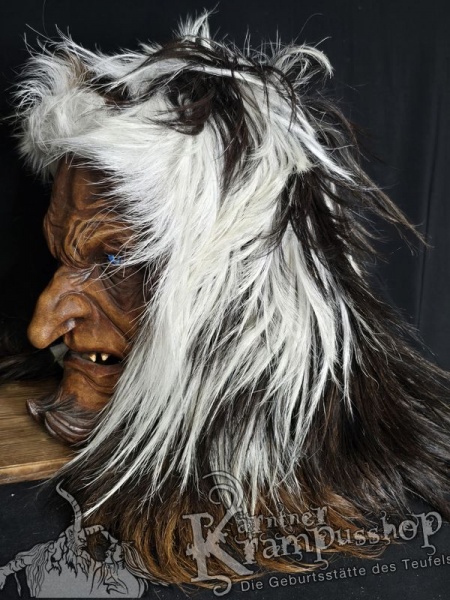 Langhaar Kopffelle Scheckig Dunkel