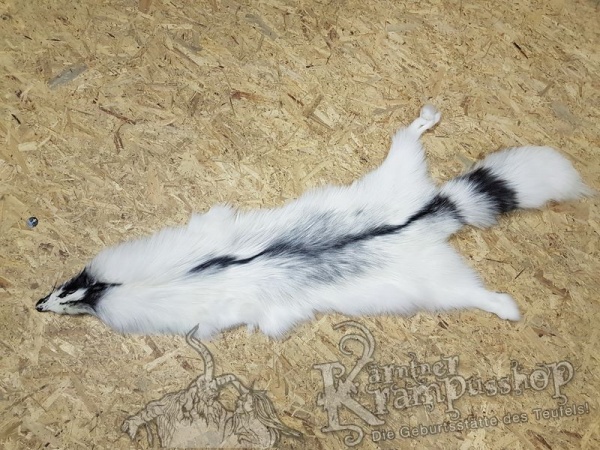 Polar Fuchs grau meliert