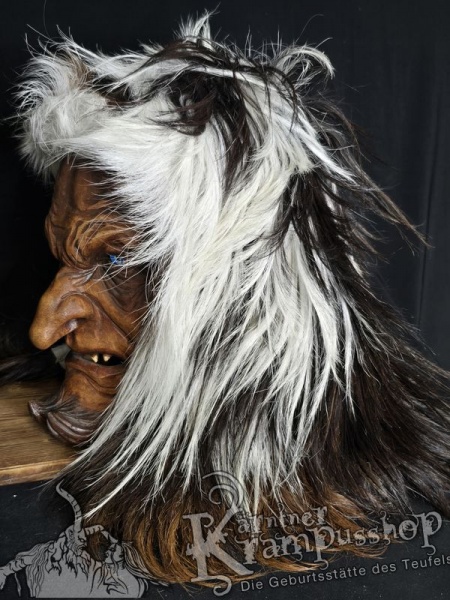 Langhaar Kopffelle Scheckig Dunkel