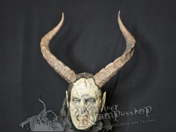 Spanischer Steinbock