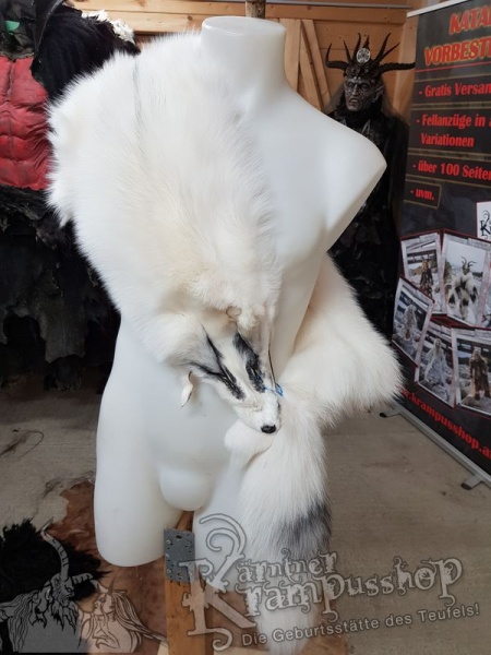 Polar Fuchs Weiss