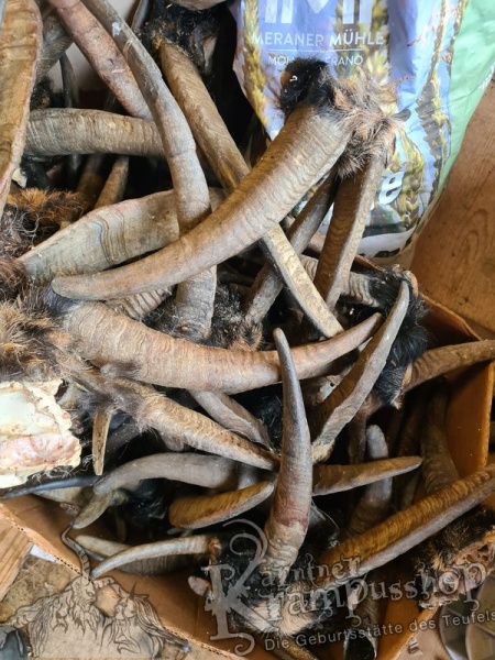 Gaishörner SCHNITZERPACKET