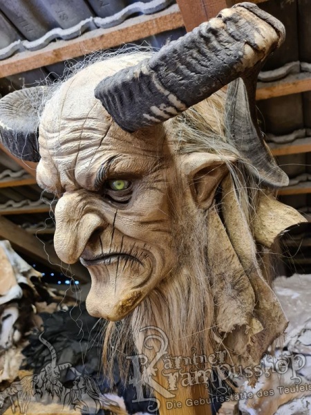 Widder Dunkel bis 60cm