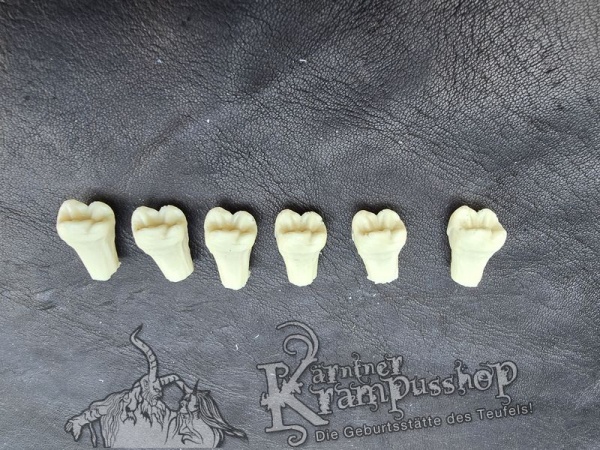 Stiftzähne Einzeln Backenzahn